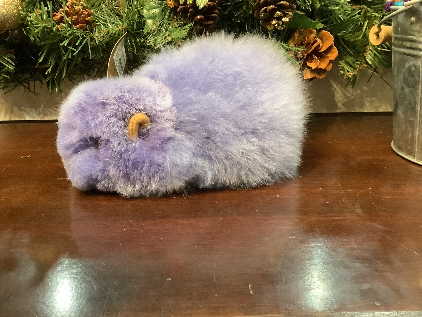 ALC Medium Guinea Pig