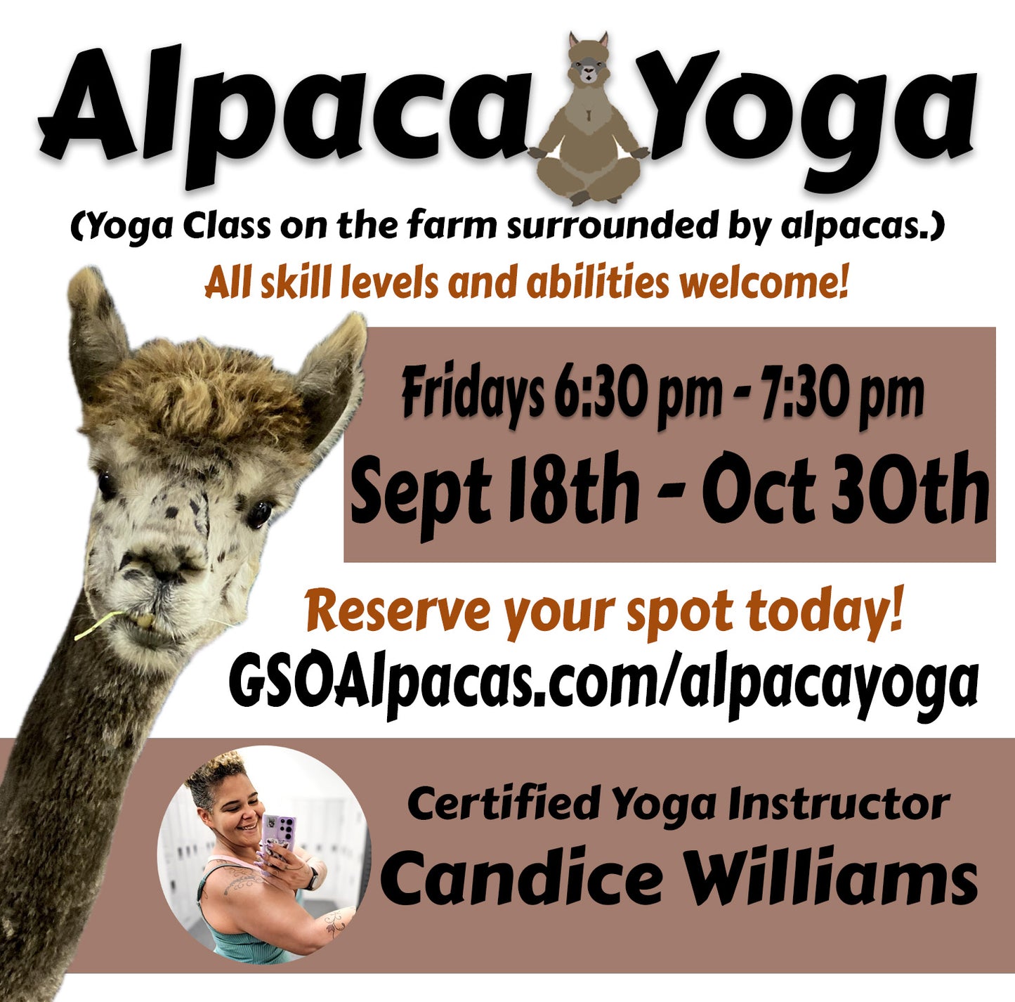 Alpaca Yoga Fall 2026
