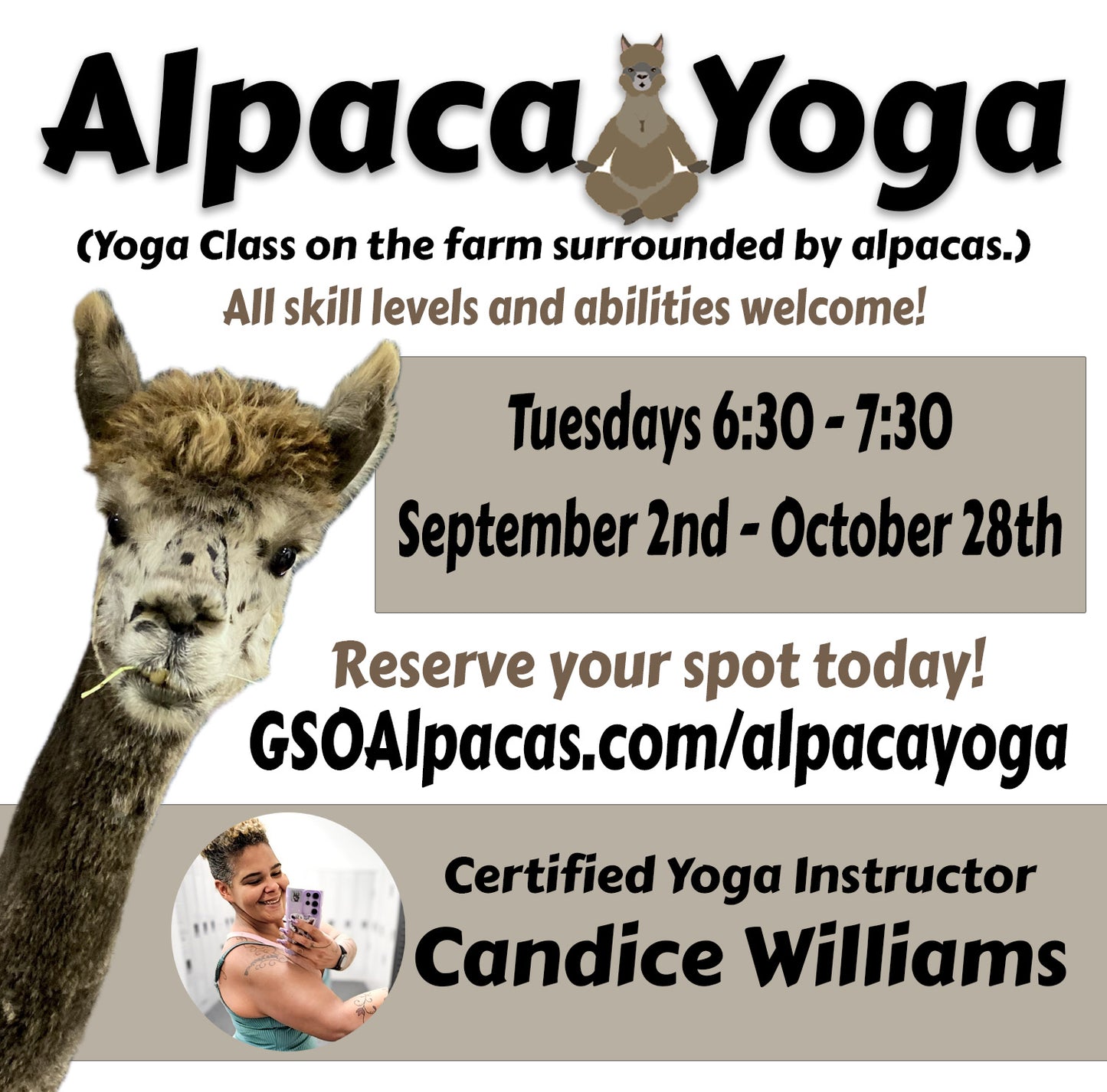 Alpaca Yoga