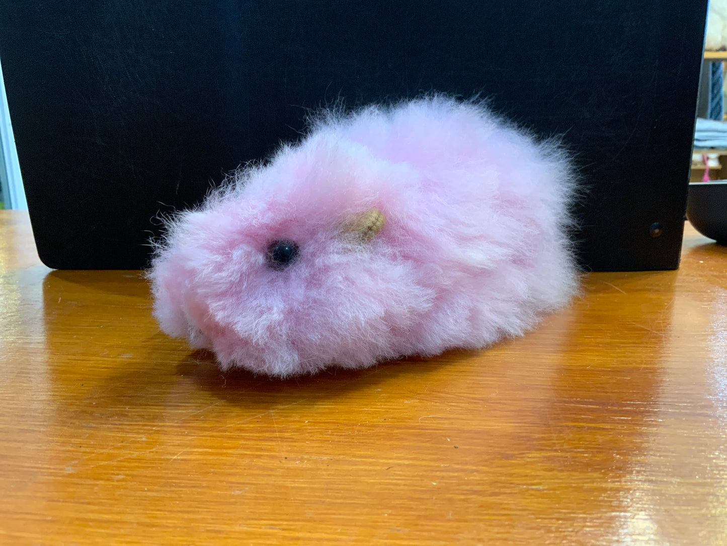 ALC Medium Guinea Pig