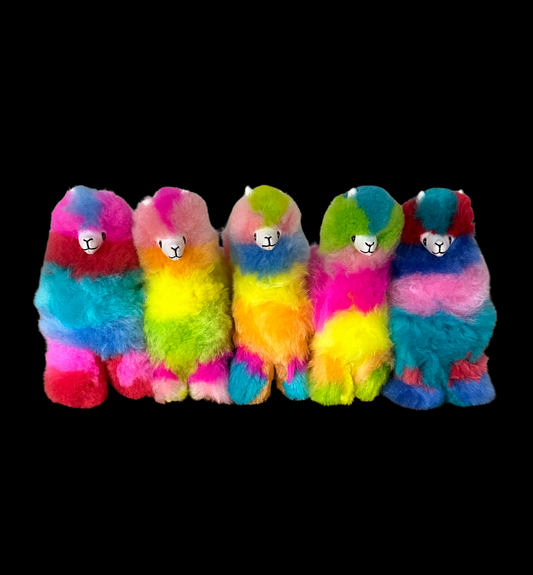 8 Inch Alpacas Rainbow