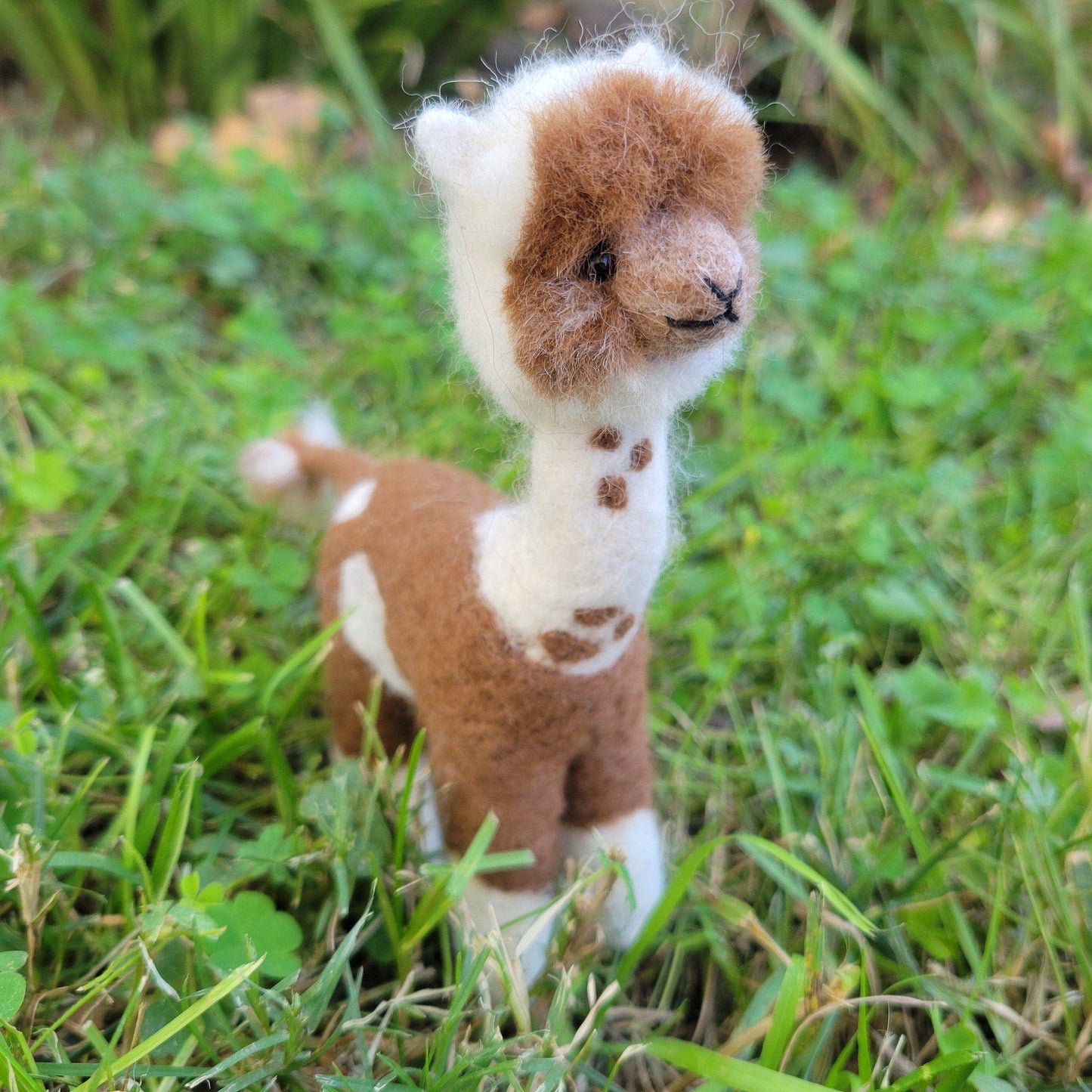 Shearing Day Alpacadorable Alpaca Ornament