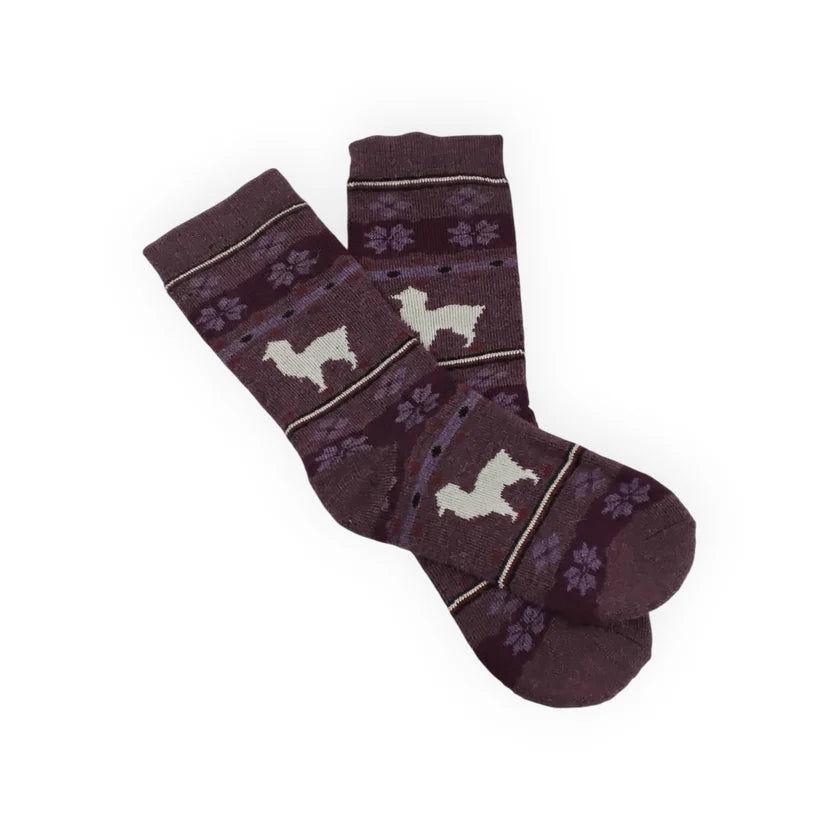 Dreamy Alpaca Sock