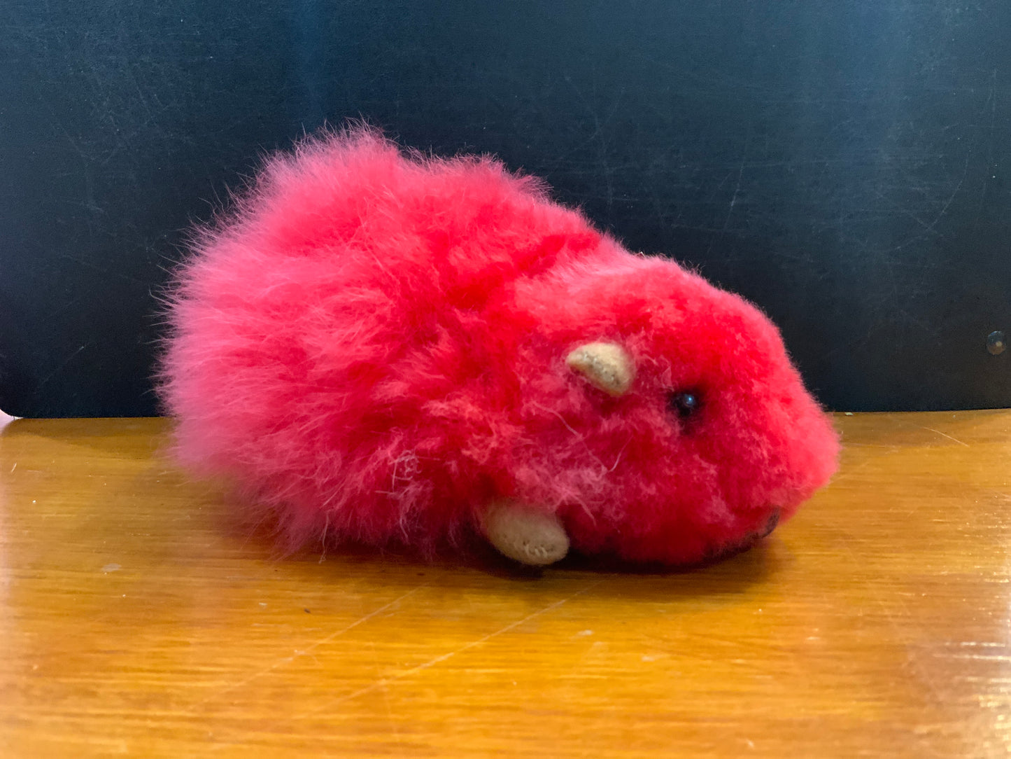 ALC Small Guinea Pig