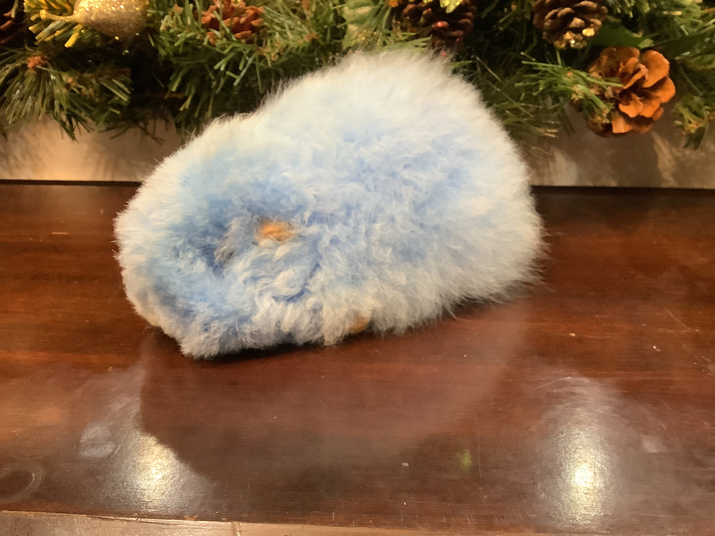 ALC Medium Guinea Pig