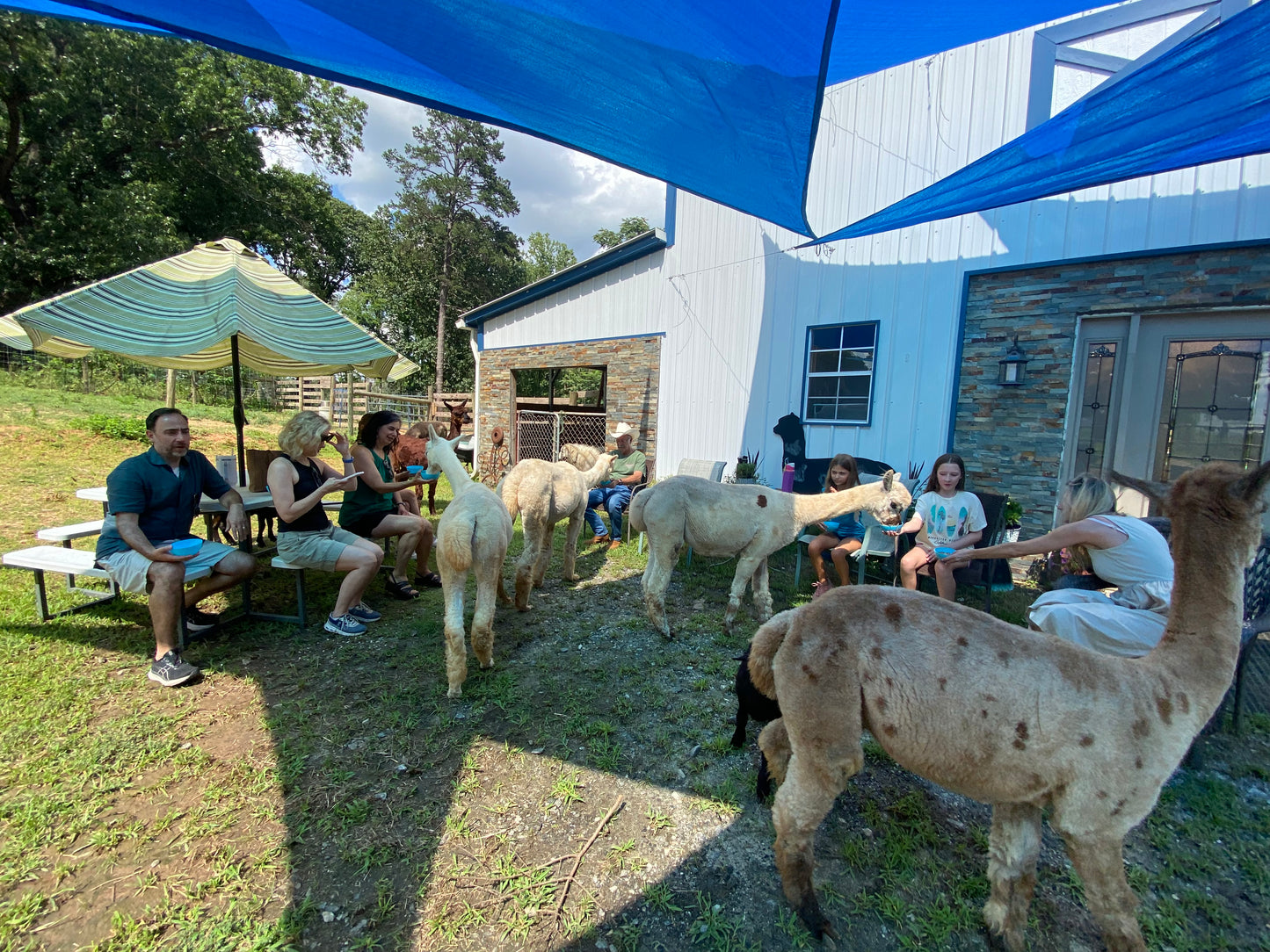 Private Group Alpaca Interaction