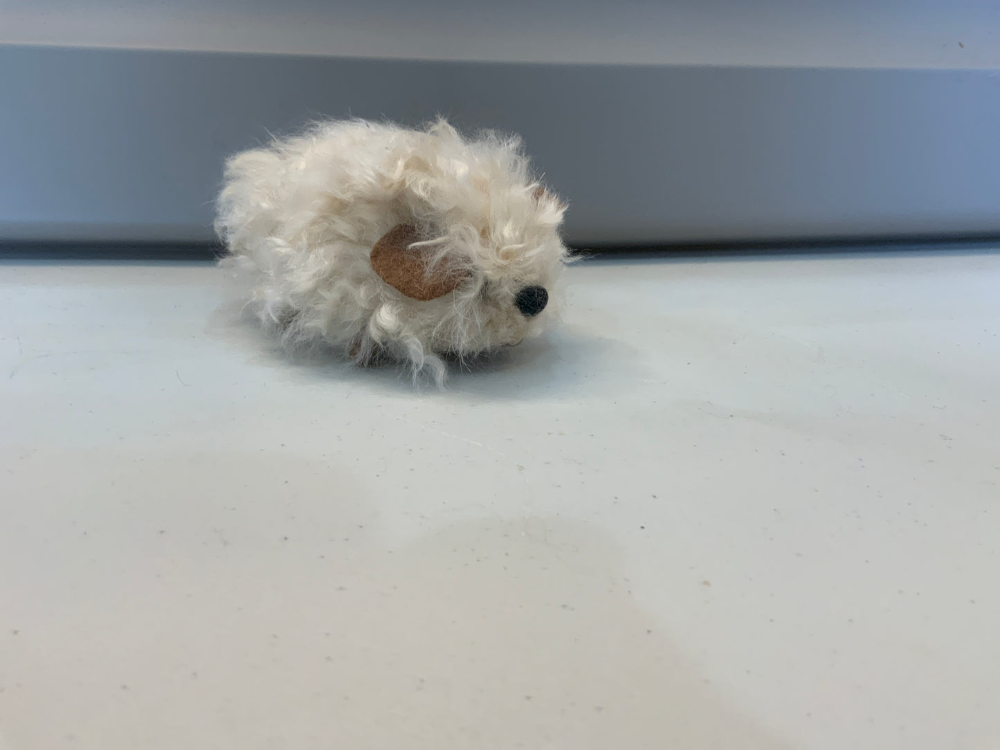 Guinea Pig Toy
