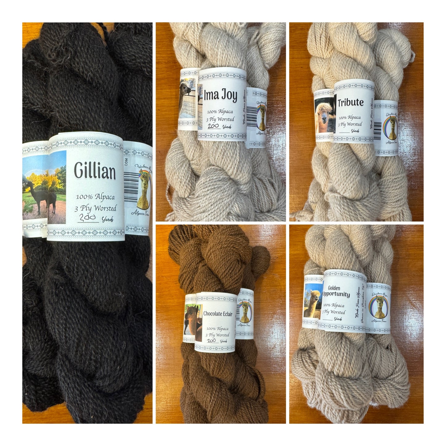 Rainbow Magic Alpaca Yarn