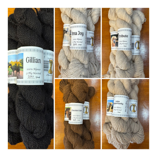 Rainbow Magic Alpaca Yarn