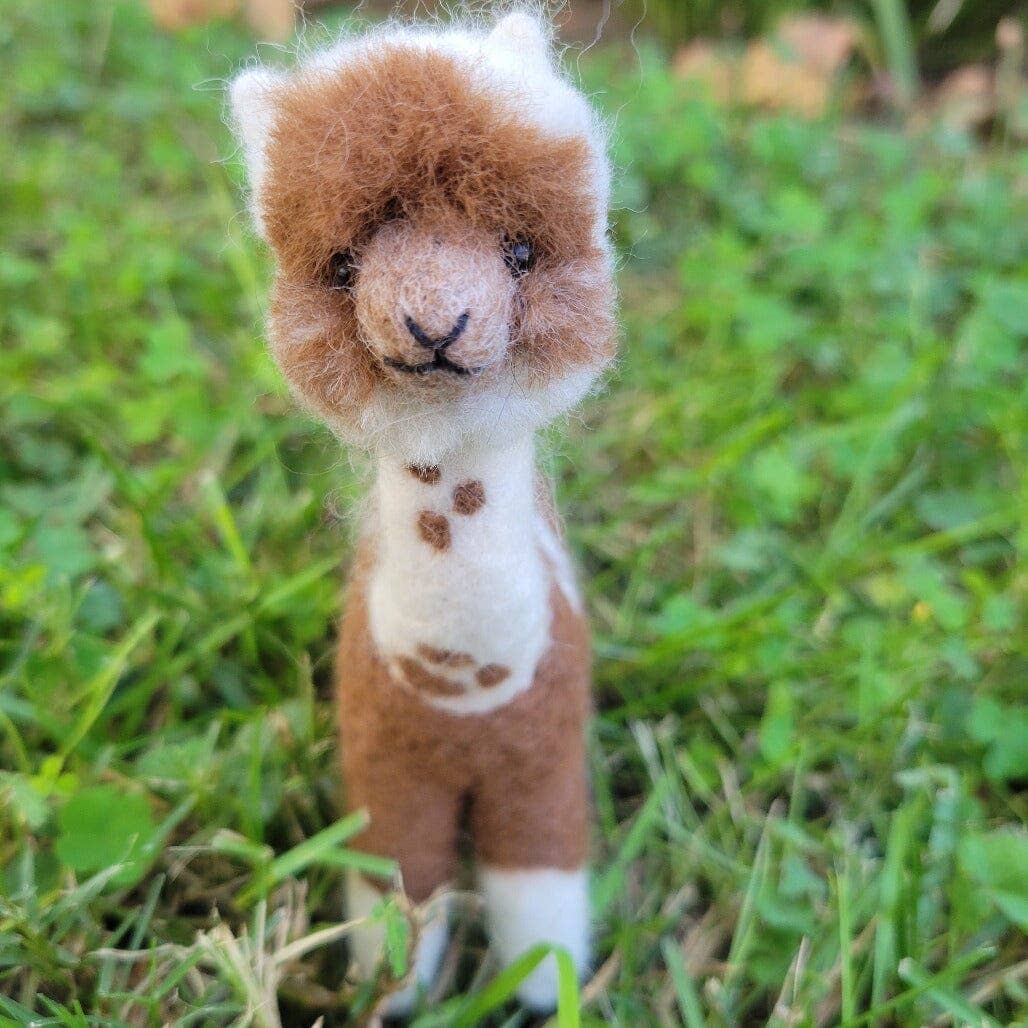 Shearing Day Alpacadorable Alpaca Ornament