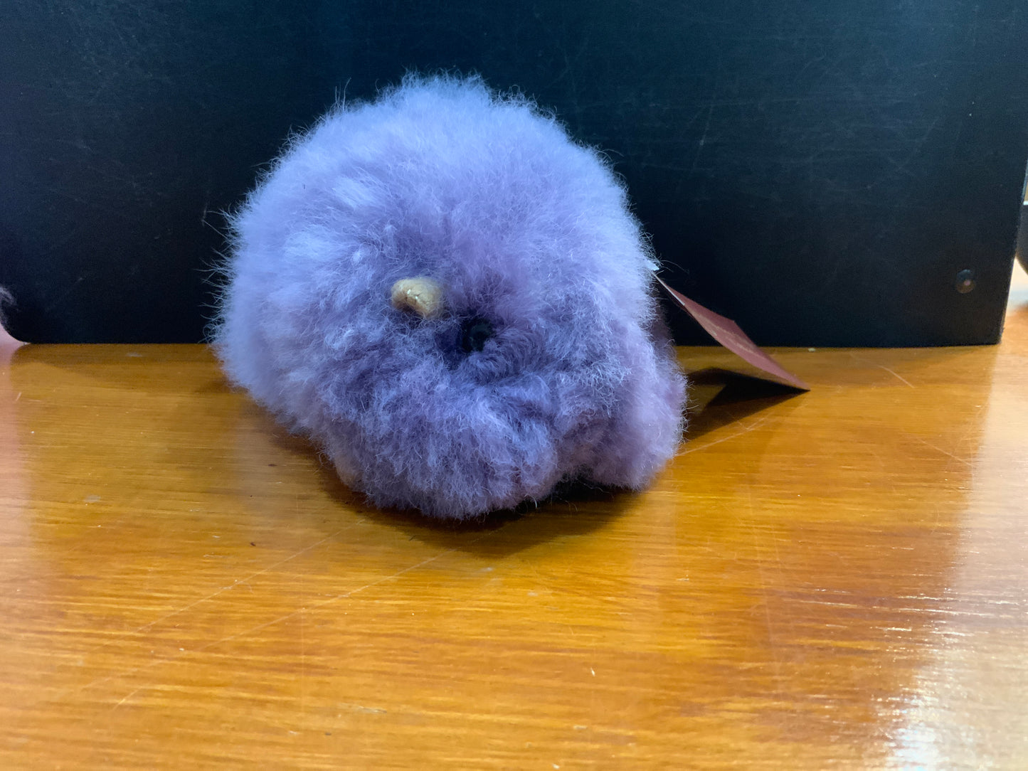 ALC Small Guinea Pig