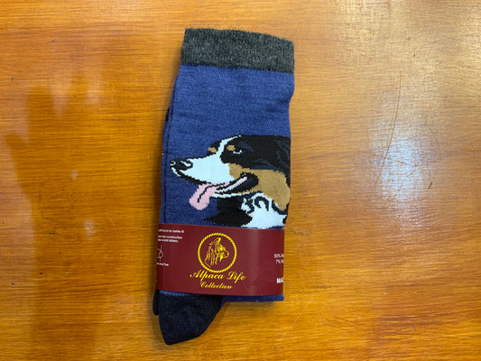 ALC Burmese mountain dog sock