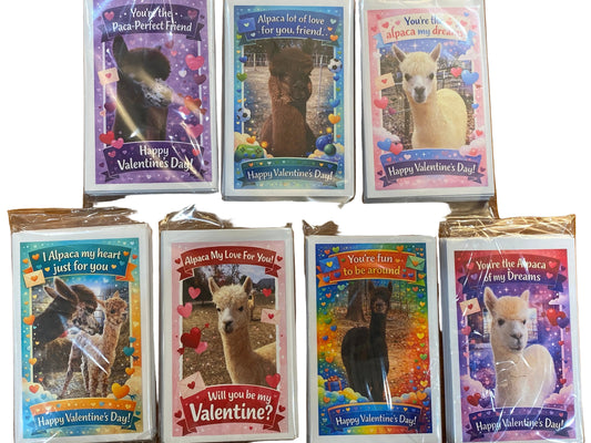 Valentines Day Cards - Pack of 32