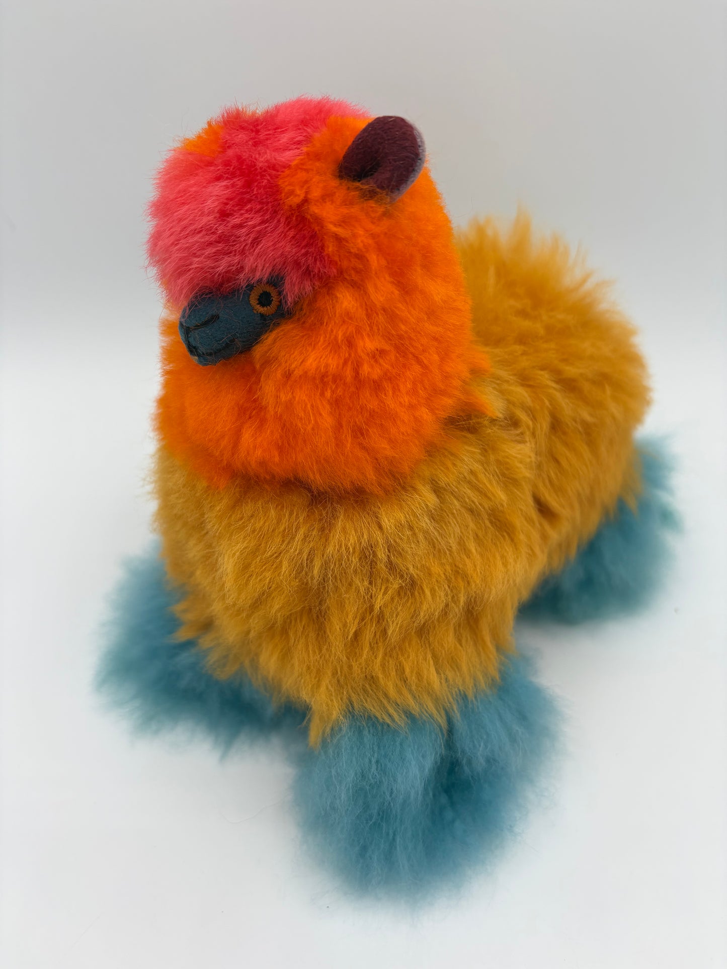 6" Color Face Kaleidoscope Huacaya