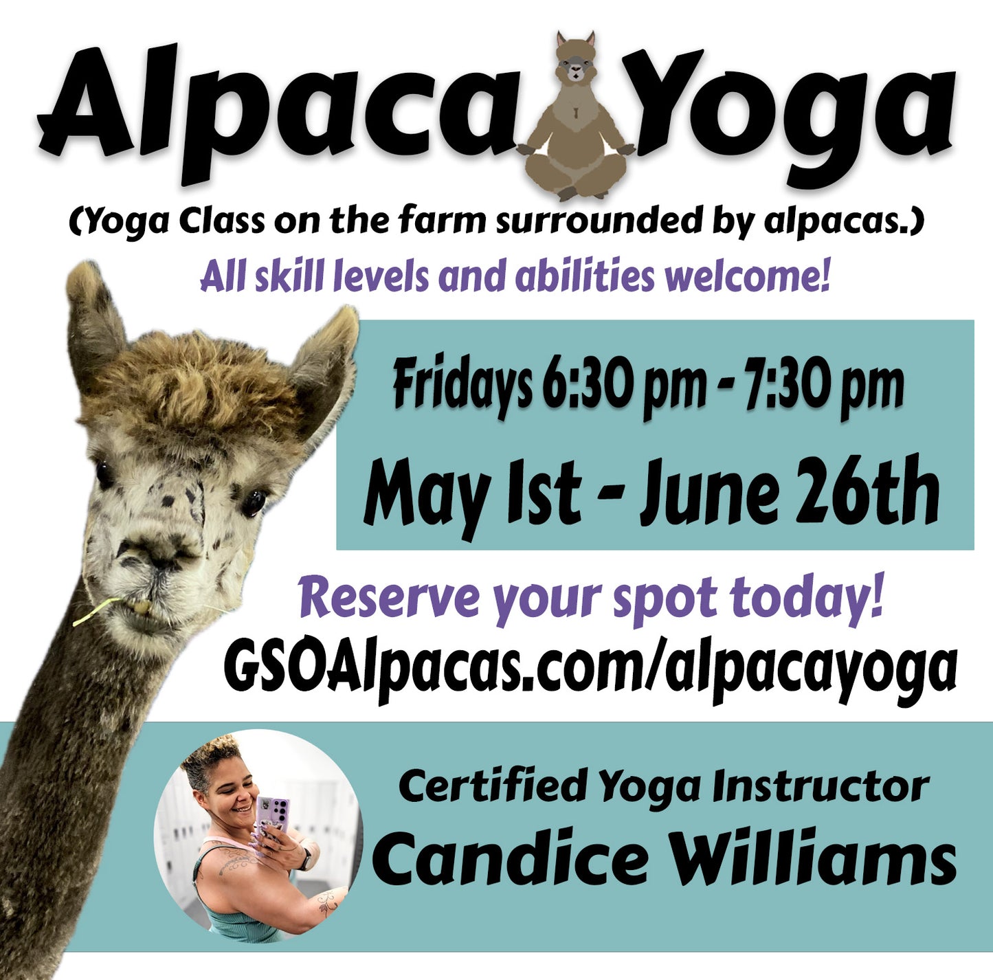 Alpaca Yoga Spring 2026