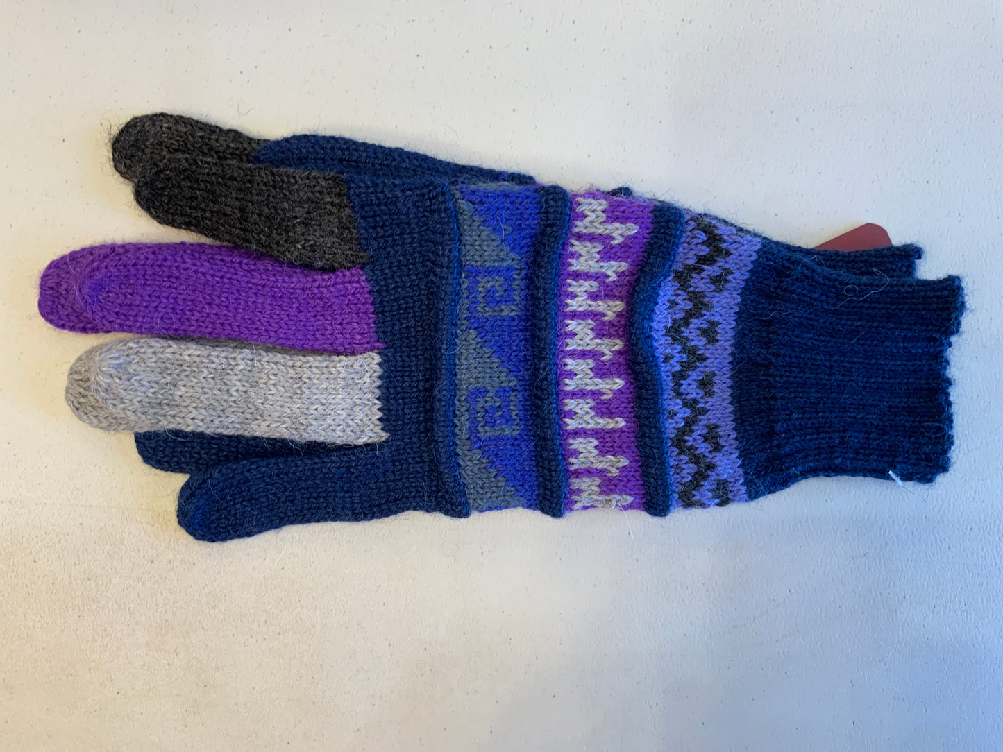 ALC Multi Colored Gloves