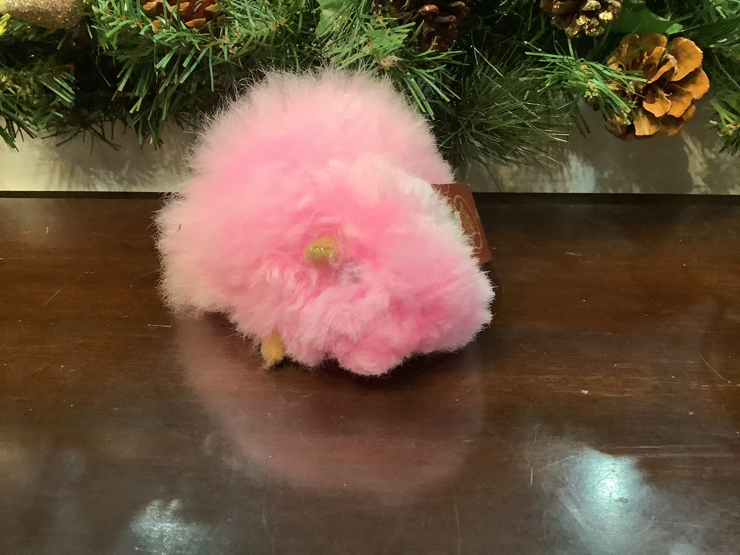 ALC Small Guinea Pig