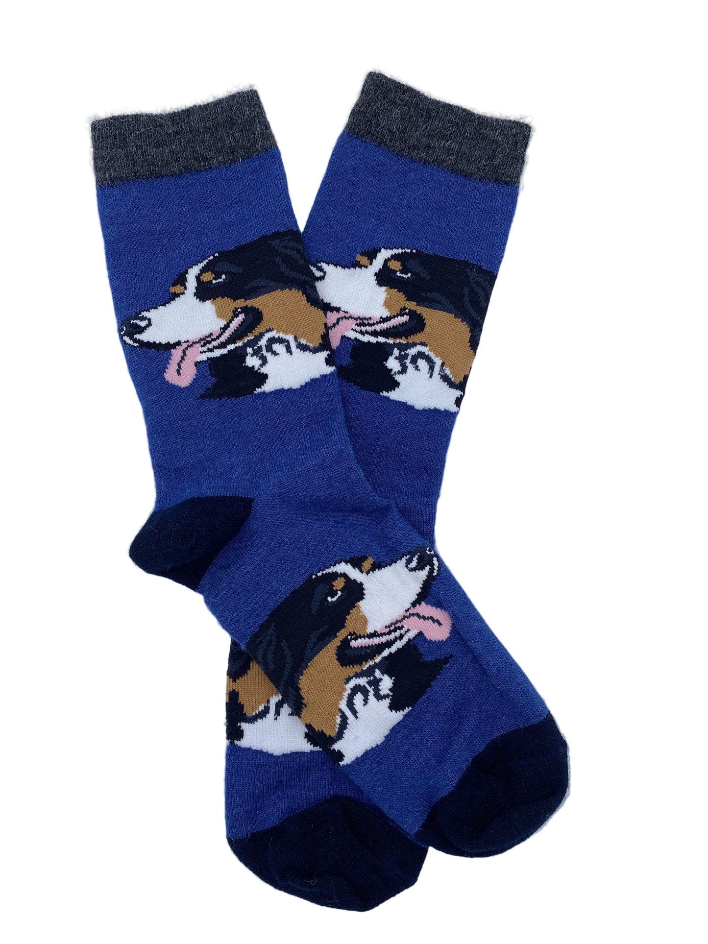 Bernese Mountain Dog Alpaca Sock