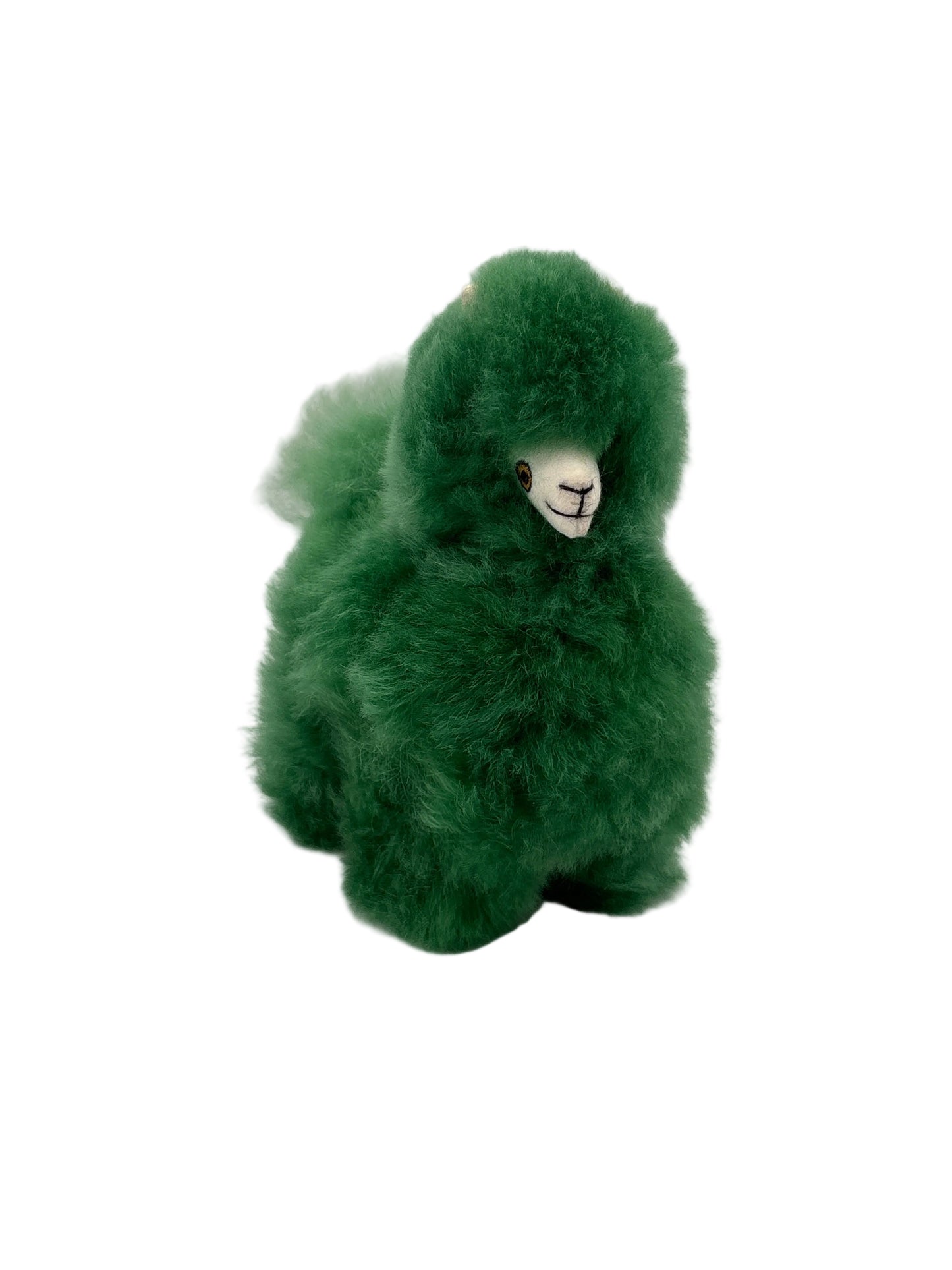 6" Full Spectrum Huacaya