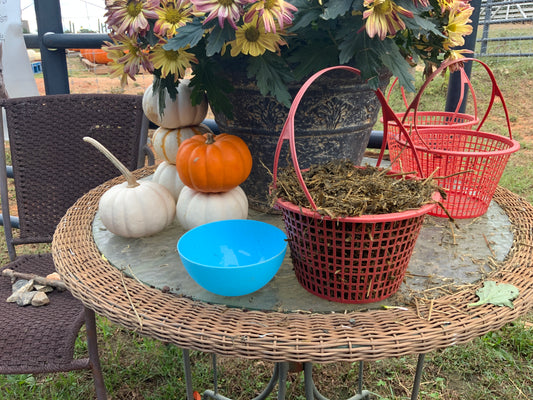 Rainbow Magic Feed the Alpacas