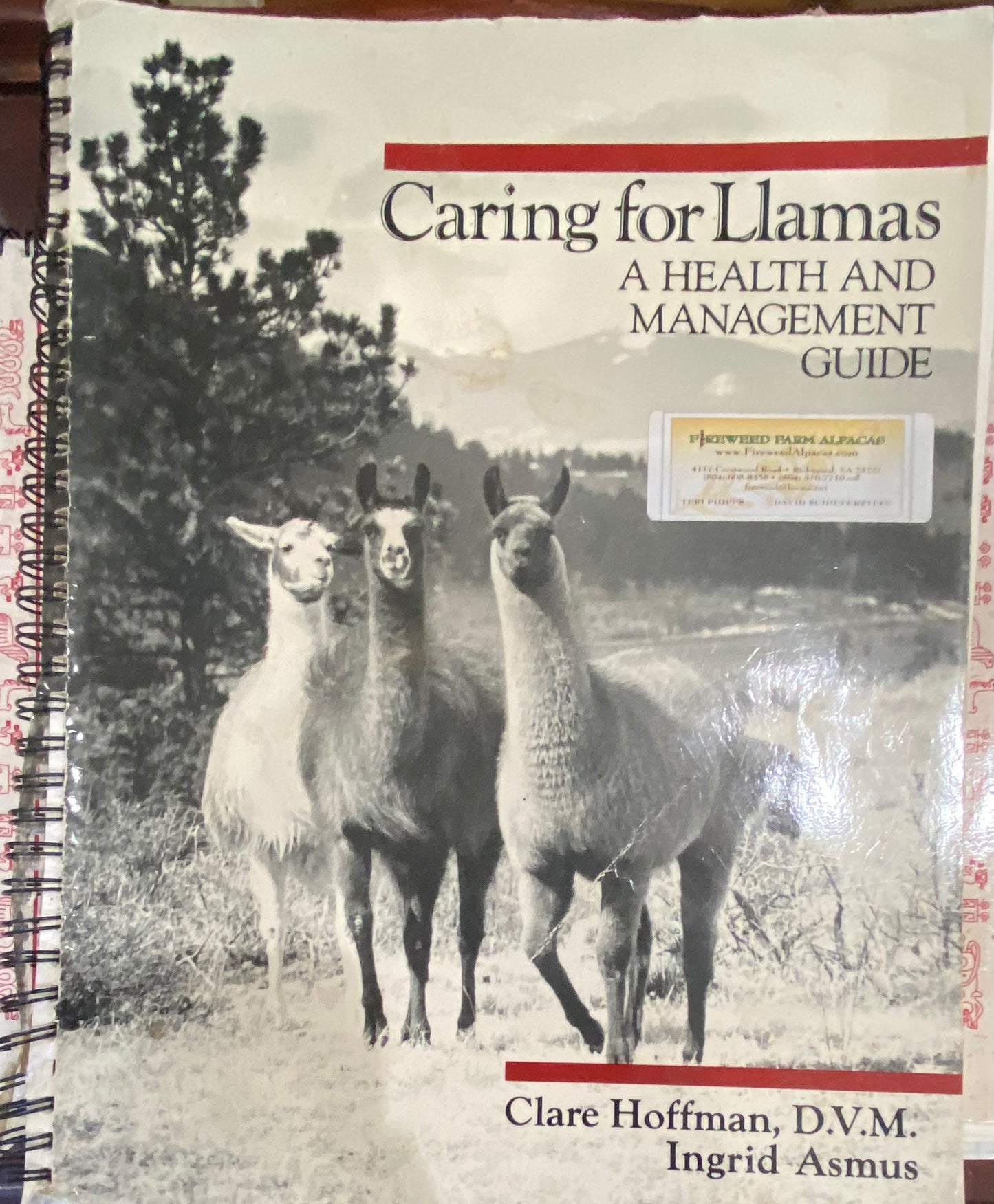 Caring for Llamas: A Health and Management Guide - Used Paperback Book