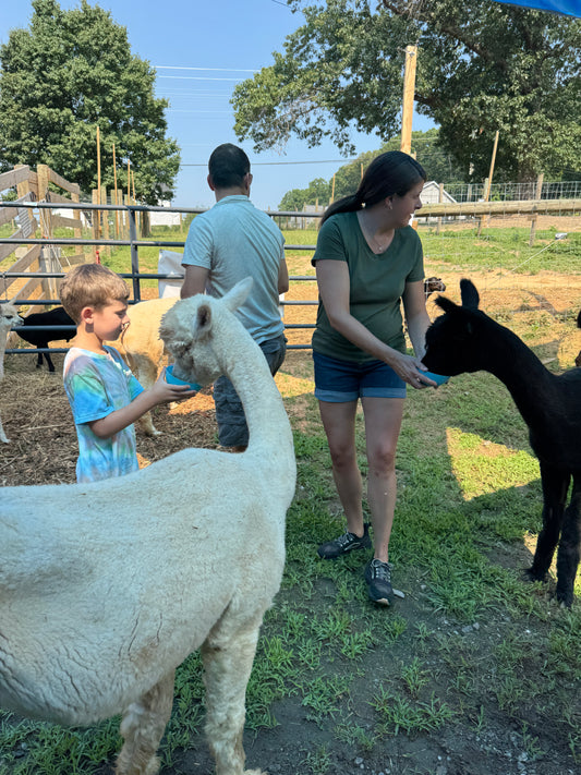 Private Group Alpaca Interaction