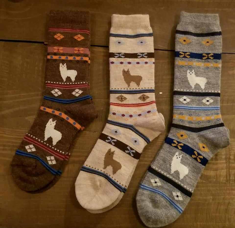 Alpaca Watching Socks - Child Size