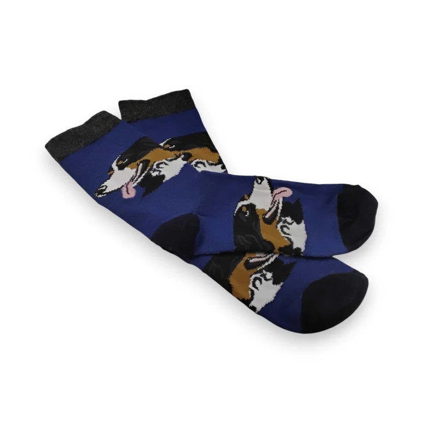 Bernese Mountain Dog Alpaca Sock