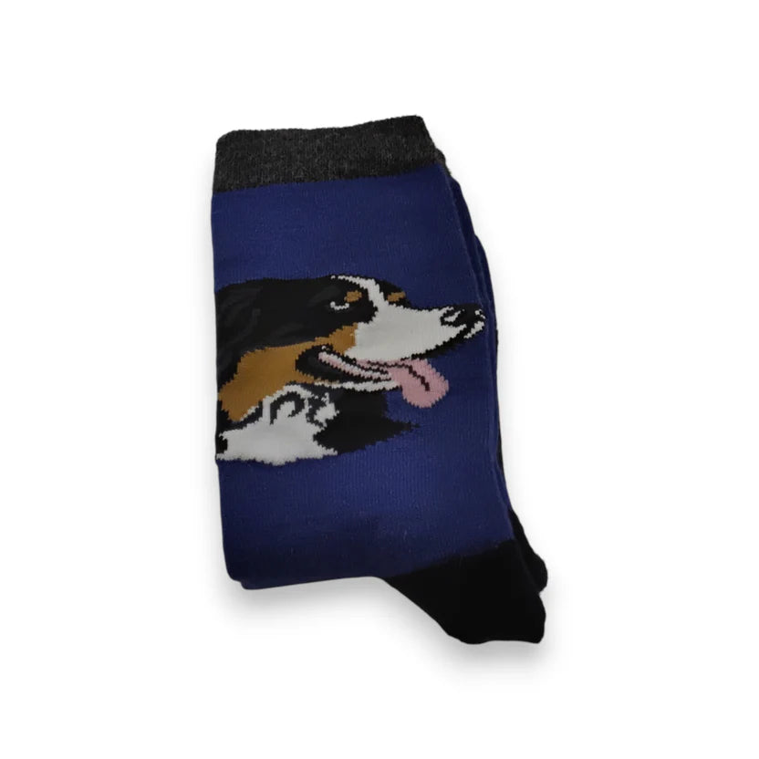 Bernese Mountain Dog Alpaca Sock
