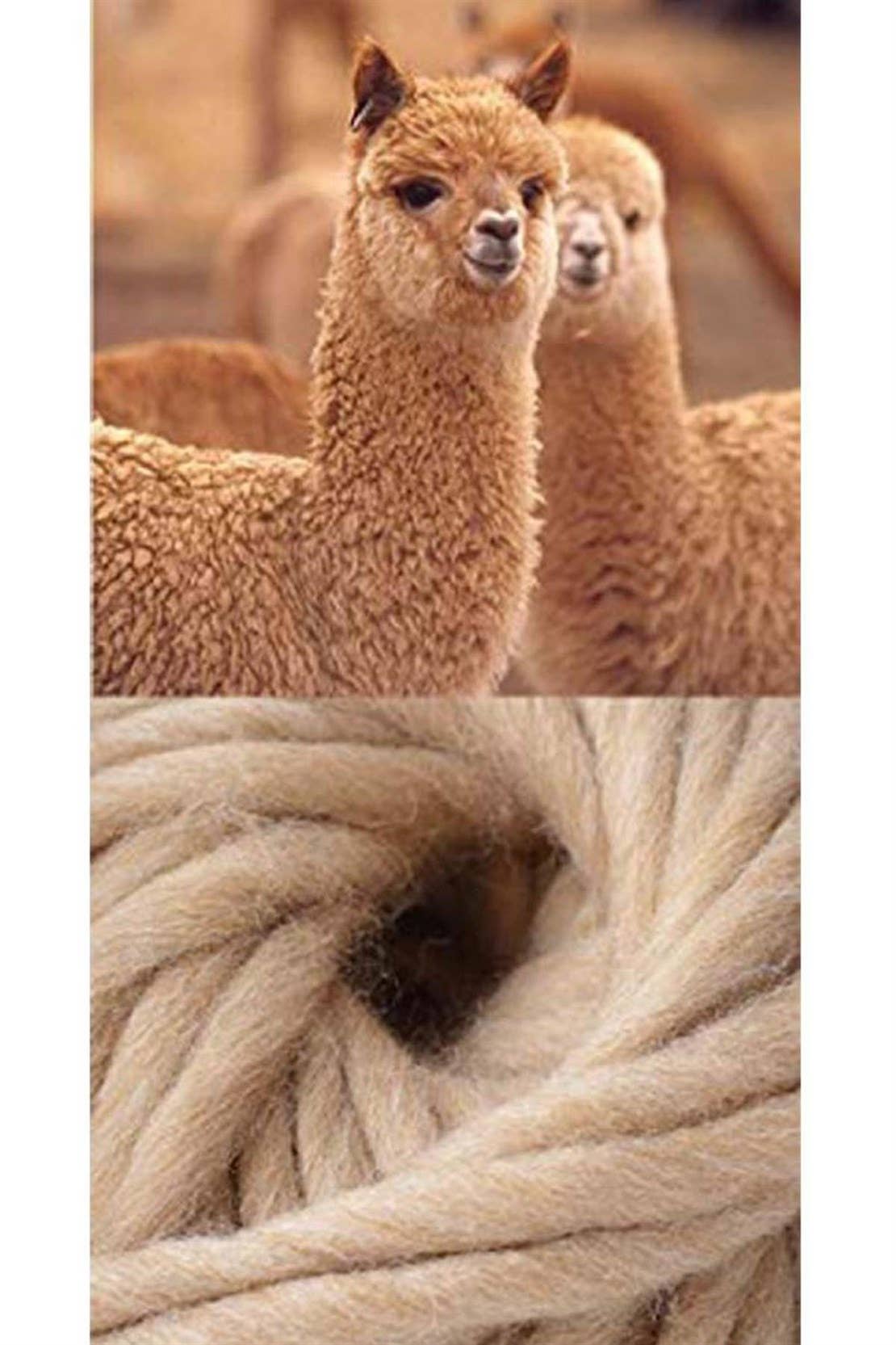 Double Layer Unisex Alpaca Wool Thermal Hiking Boot Socks Br