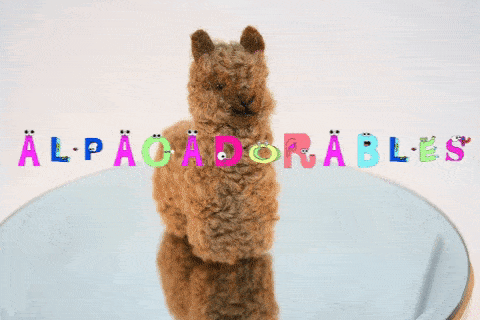 Alpacadorable Alpaca Figures
