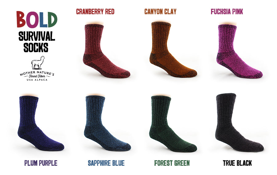 Alpaca BOLD Survival Sock